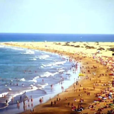 Caribe 530